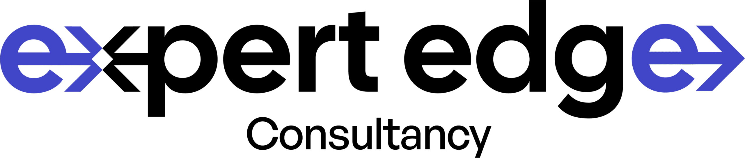 Expert Edge Logo